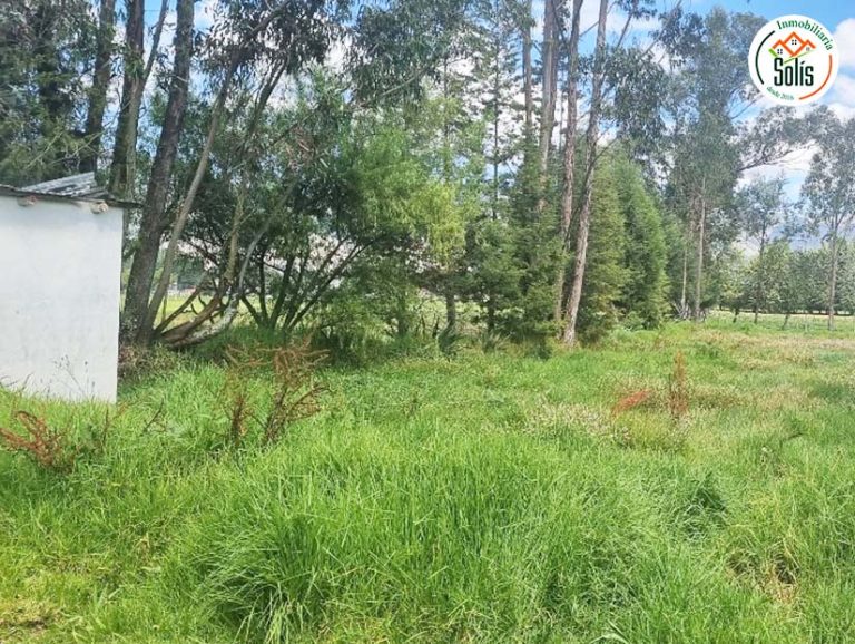 TERRENO 500 m2 VENTA  CERRILLO, BAÑOS DEL INCA, CAJAMARCA