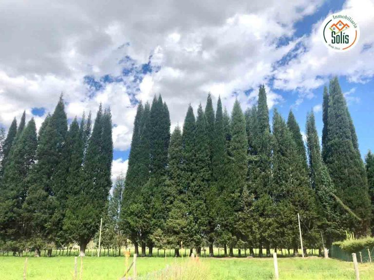 SOLÍS VENDE TERRENO EN VILLA CAROLINA, CAJAMARCA