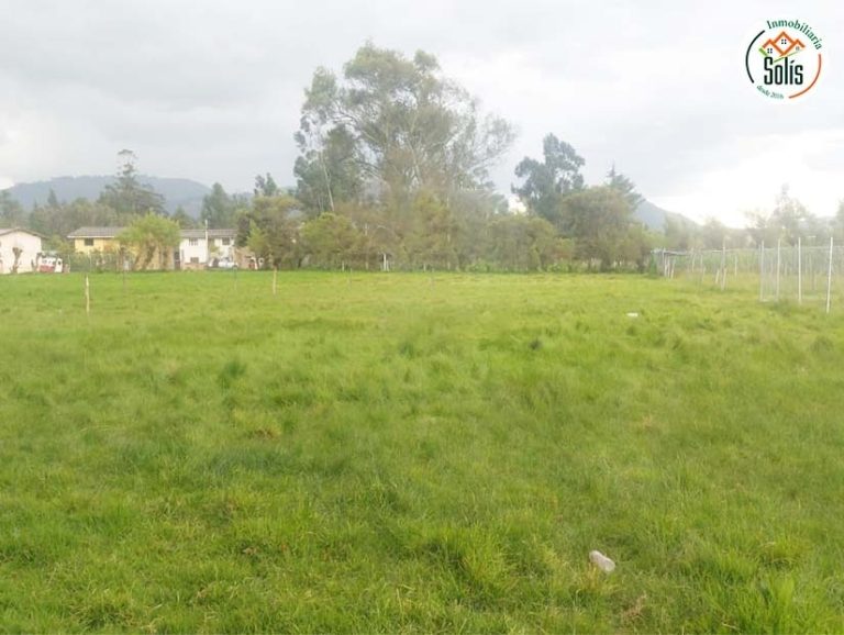 VENDO LOTES  CERCA DEL QHAPAQ ÑAN, CAJAMARCA