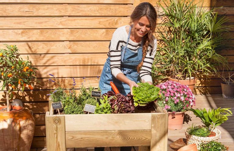 Jardinería